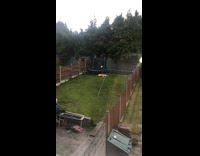 Huge carrot plushie backyard facedown trampoline