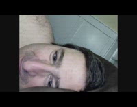 Pet cat lie down and play with the nose of its owner