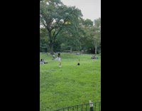 Woman in white dress tiktok dance at the park