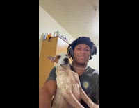 Dog sitting on hoomans lap wants cuddles