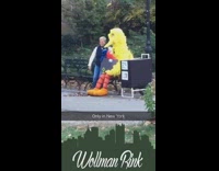 Woman takes photo with Elmo and big bird