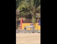 girl coconut on on concrete bench