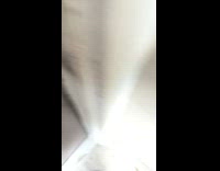 Cat greets owner waiting on stairs come home