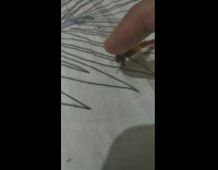 Dragonfly on the bed touched and petted by the filmer