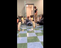 Womans encounter with penguins at St. Louis zoo