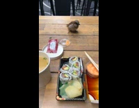 Collab WINY - Lady Giggles as Finch Checks her Sushi