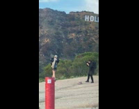 Collab IITW - Woman in black leather dress poses with Hollywood sign in the background