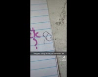 Bug trapped in drawing circle disappears