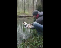Collab KaleSaladIG - Guy holds dog above river water paddles