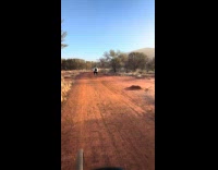 Filmer cycle along red dirt  Uluru sunrise