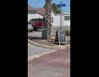Woman in beach dress poses beside the tree