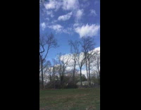 man in blue motorcycle falls back forest