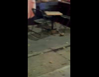 Two rats fight on the street night