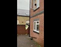 Egg parachute dropped from window not broken