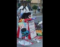 Animals at street with banner and chair in NYC 