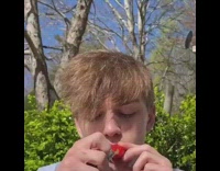 Fruits and veggies guy smokes strawberry