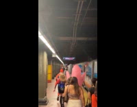 Collab Subway Creatures - Dolphins runs to enter subway before closing