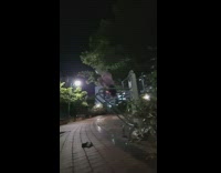 Guy tries to do handstand on 2 bars fail 