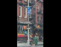 Green dress girl whip ski mask guy