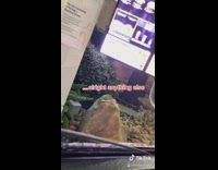 McDonalds Drive thru you know what I want