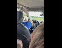 Dad kid argue about animals car wildebeest 