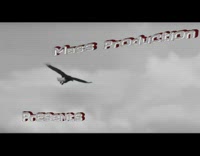 Compilation hang gliding guy lands grass parachute 