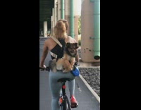 Girl rides bicycle small brown dog backpack 