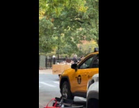 Man drives tractor with goats in city