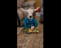 Cattle toy wears blue sweater with trumpet