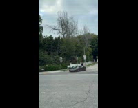 Man poses beside black Lamborghini corner street
