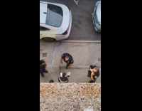 Guys arguing with police in the morning