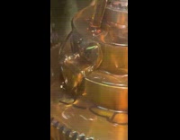 Fly bug trapped in oil stream machine 