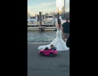Dog on pink car interrupt wedding photo