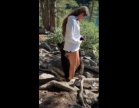 Collab VIBES - Black bear touch leg of woman lake