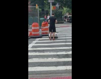 Guy brown dog white convertible toy car 