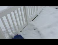 Guy let duck fly hit fence snow