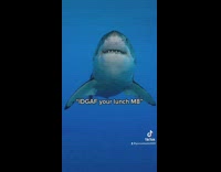 Girl begs to not be eaten by shark 