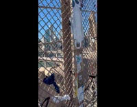 Sanitary napkin sticked on bridge with padlocks