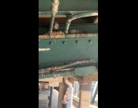 Pigeon nest on ceiling of train station