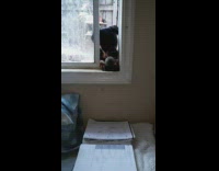 Rotweiler dog is stuck in the backyard and puts his tennis ball through the window to play fetch with owner