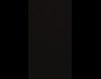 Family dinner what just happened guy 