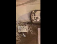 Parent child makes snowman and snowball fight