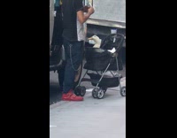 Duck fed inside the stroller at sidewalk