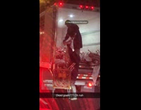 Men unloading goat meat from truck 