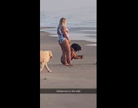 Large dogs interrupt woman lay on beach
