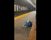Bag full of vegetables found near train 