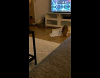 Cat slide blanket bump head on cabinet