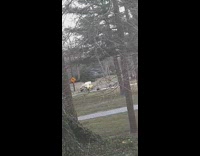 yellow car with front open while driving
