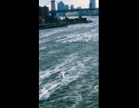 Collab WINY - Lots of people ride jet ski on river