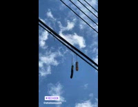 Dildos on string hang on electric cables